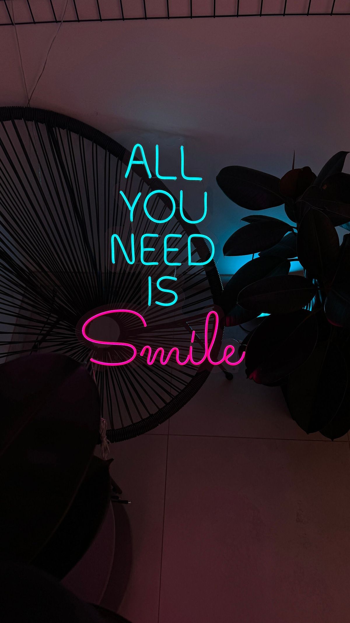 all you need is smile
