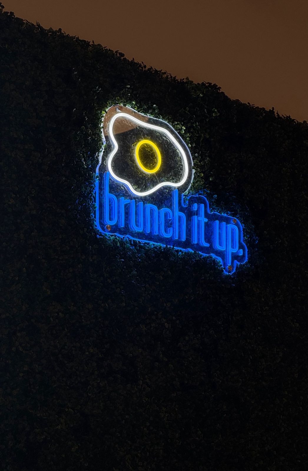 huevo brunch it up
